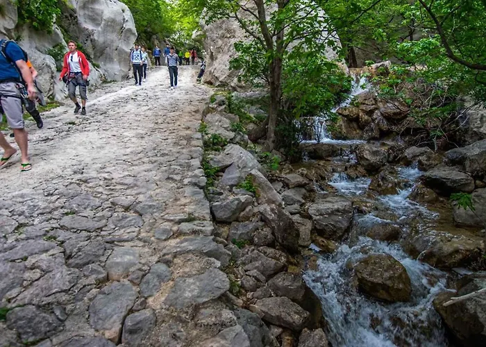 Lägenhet In Starigrad-paklenica 6891