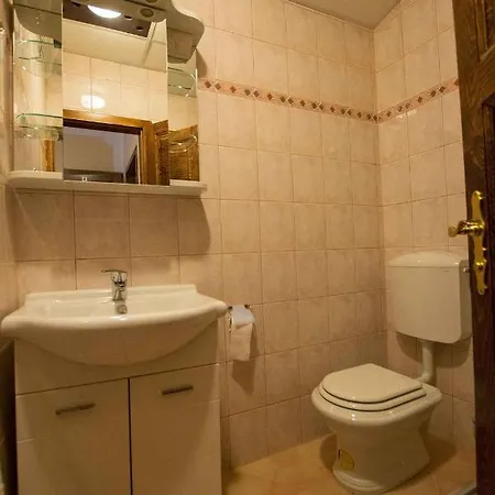 公寓 In Starigrad-paklenica 6891 斯塔利格拉德-帕克利尼卡