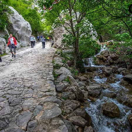 In Starigrad-paklenica 6891 * 斯塔利格拉德-帕克利尼卡