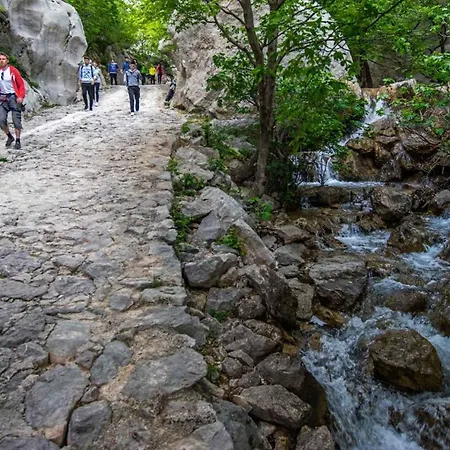 Apartamento In Starigrad-paklenica 6891