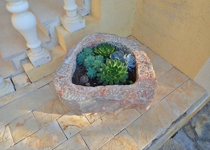 In Starigrad-paklenica 6891 스타리그라드 파클레니차