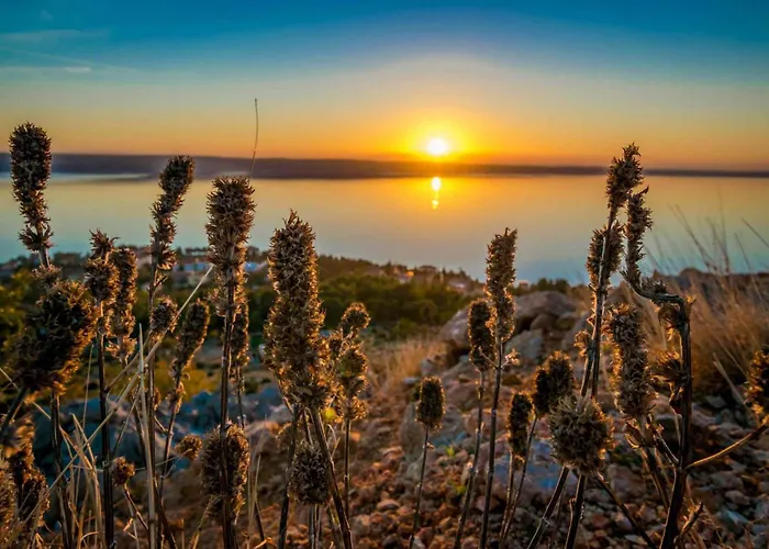 In Starigrad-paklenica 6891 아파트 *